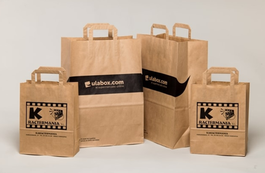 Guide to Paper Bag Manufacturing: From Process to Equipment Costs